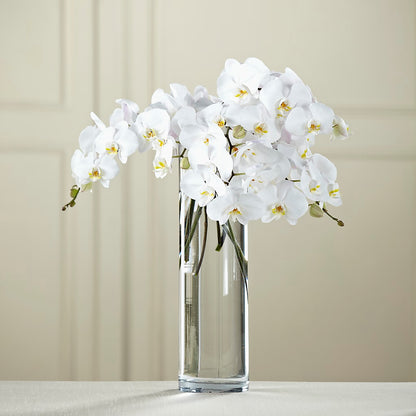 White Phalaenopsis Bouquet –  Petal Palace, Lamesa TX